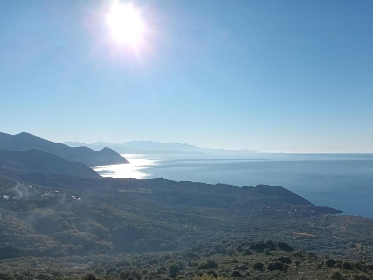 فيلا Azureo - Terrasse Du Golfe Morsiglia المظهر الخارجي الصورة