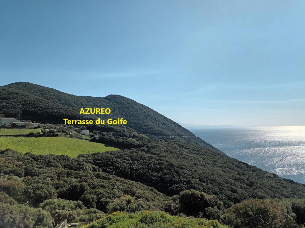 فيلا Azureo - Terrasse Du Golfe Morsiglia المظهر الخارجي الصورة